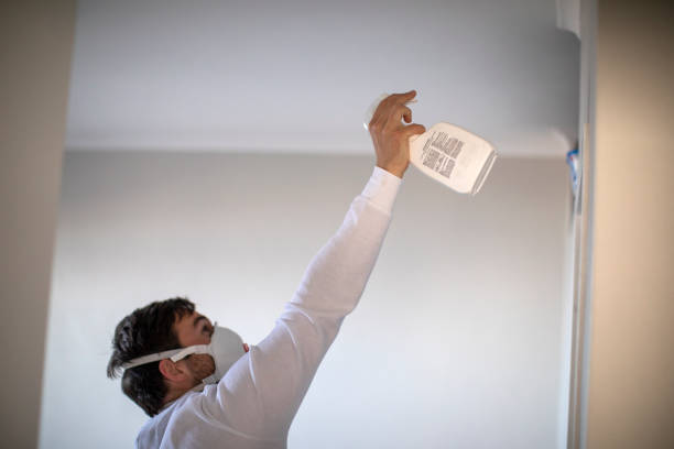 Office Mold Removal Services in Green Forest, AR